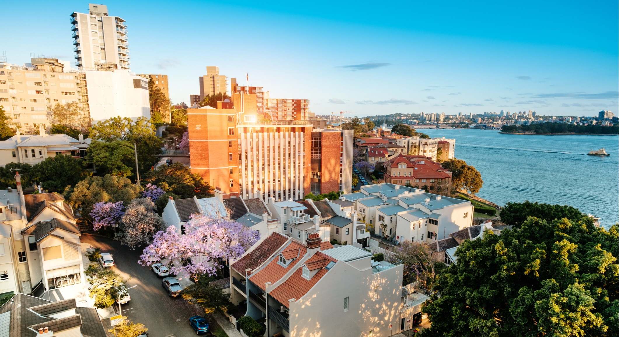 Vista aérea de un barrio típico en Australia. Foto: iStock