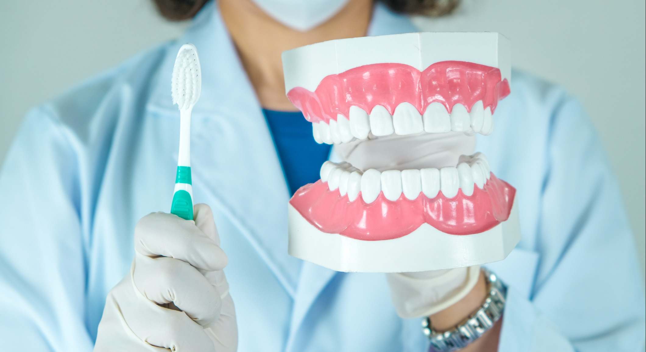 Manos de un dentista sujetando una réplica de una dentadura humana