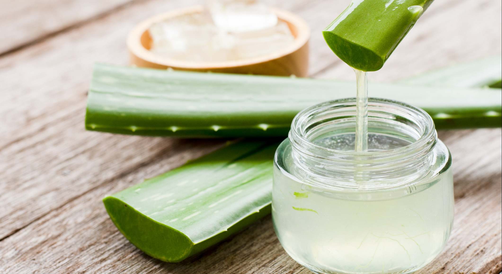 Planta de aloe vera y gel de aloe vera