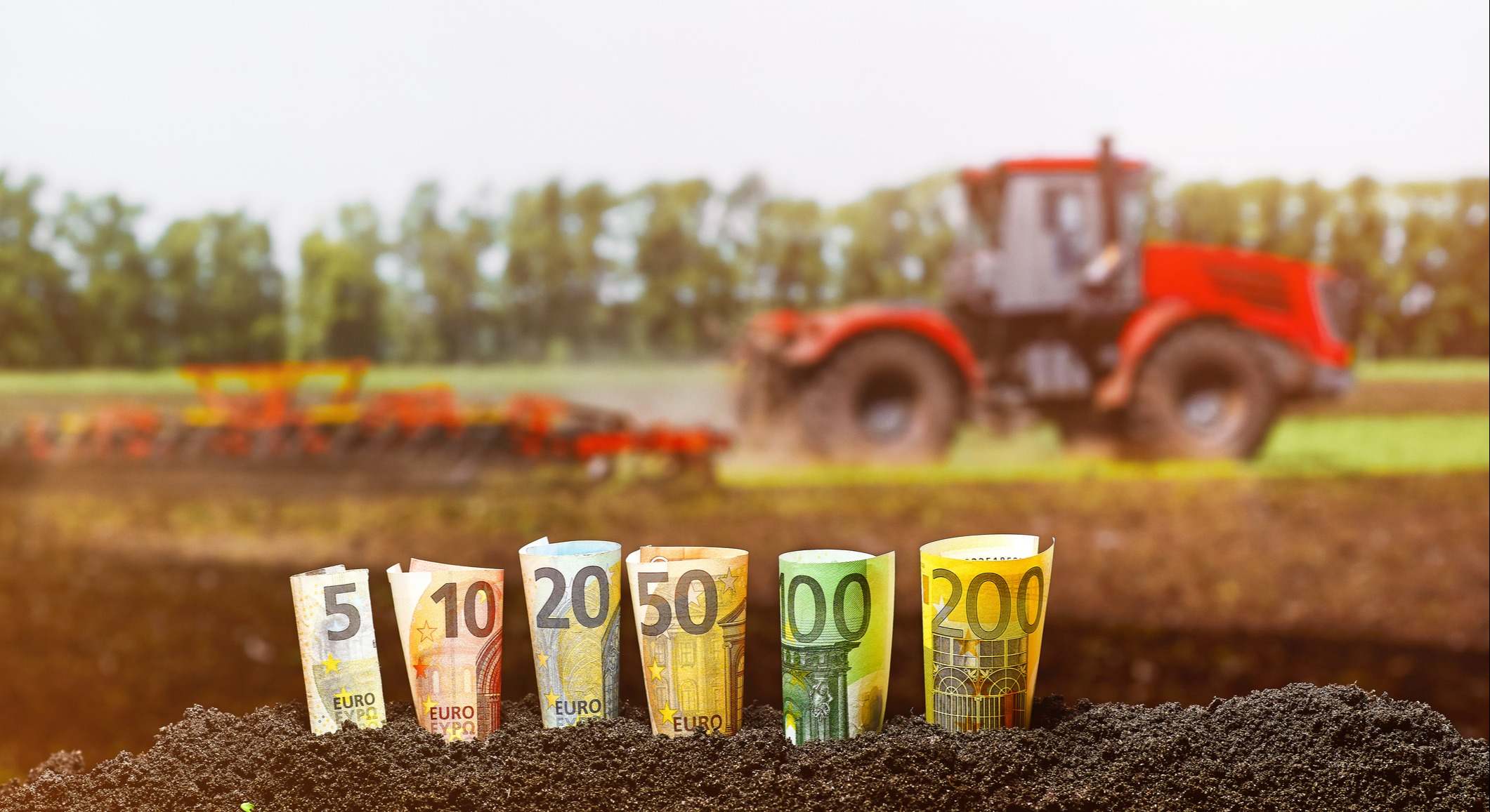 Unos billetes de euro 'plantados' en la tierra