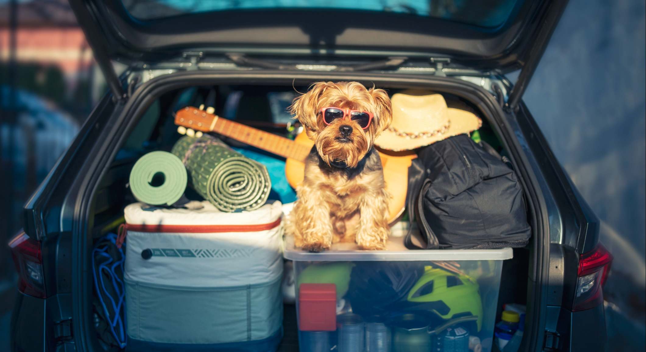 Vacaciones preparar el viaje