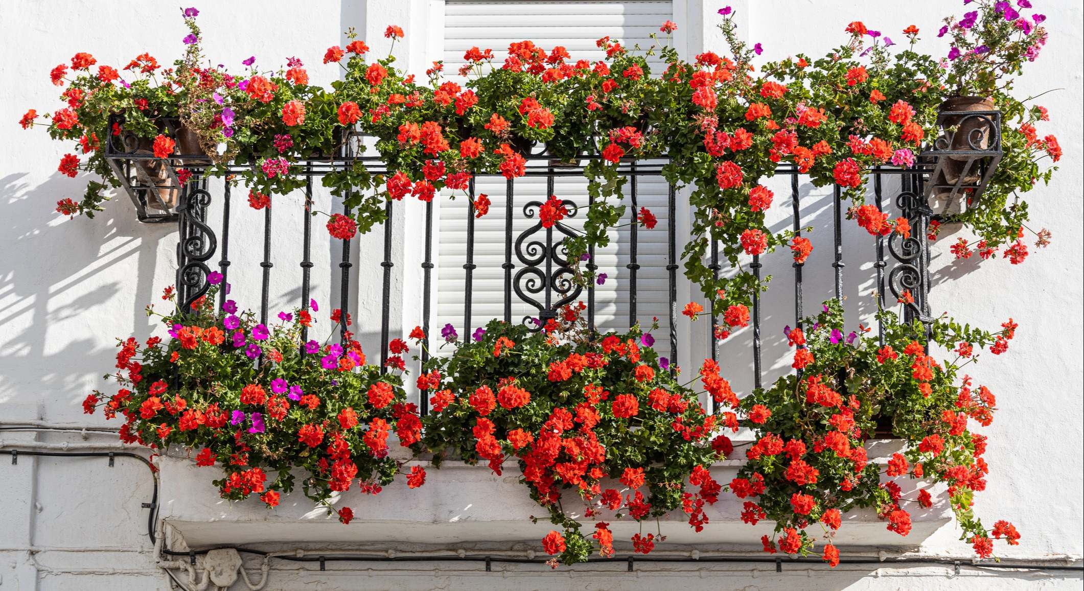 Balcón con flores