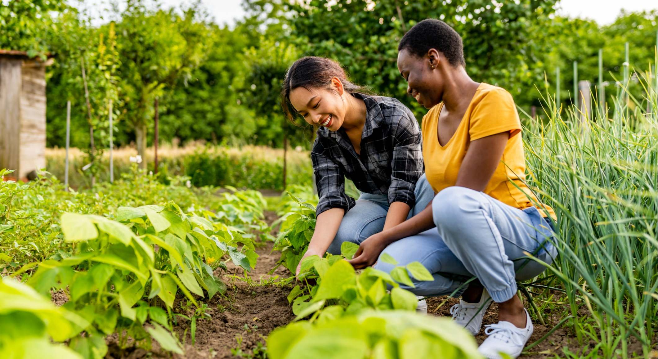 Dos mujeres cultivando plantas en un jardín