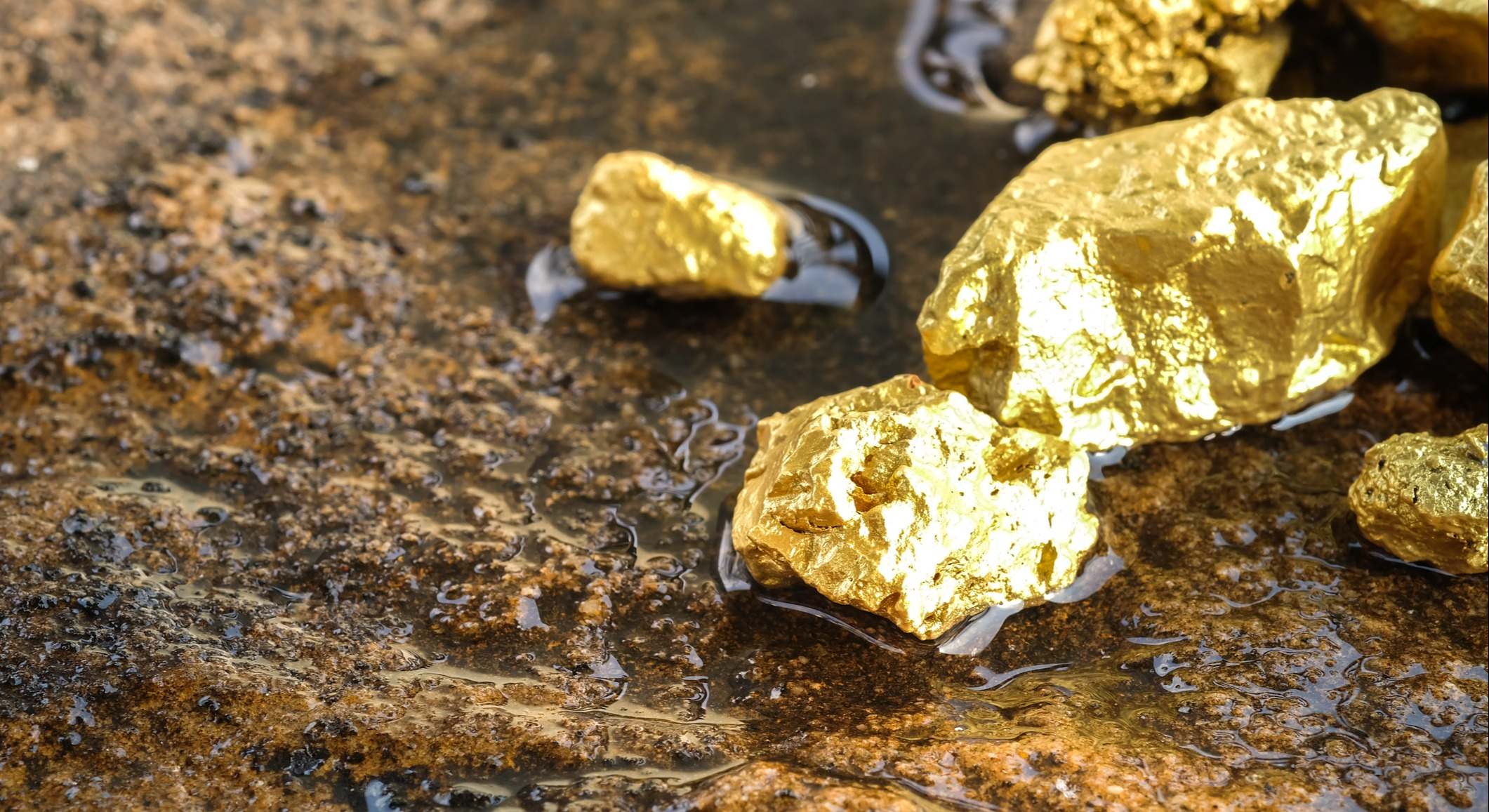 Mineras de oro