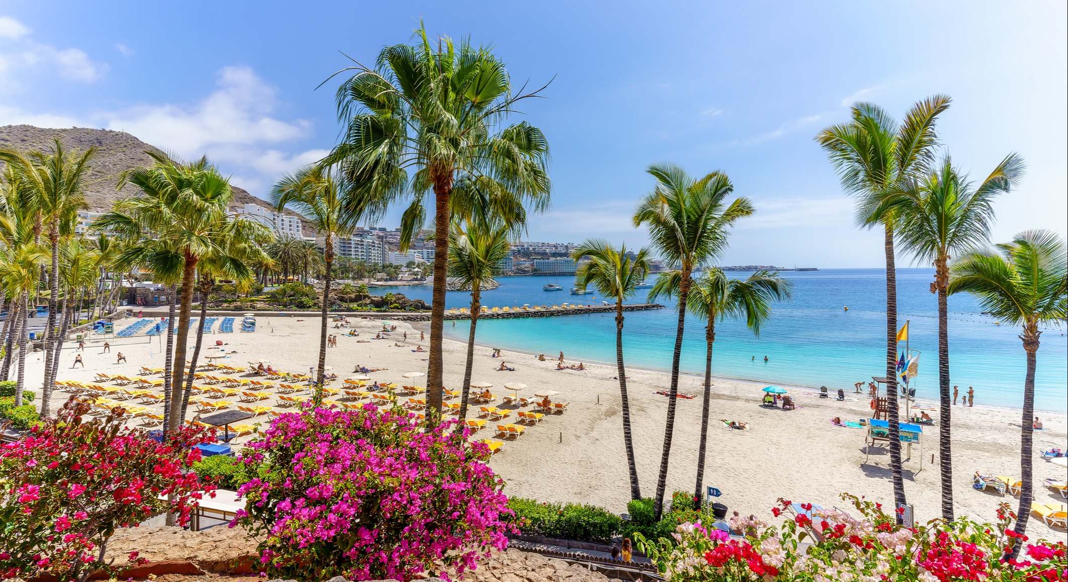 Una playa de arenas blancas con varias palmeras muy altas. Sus aguas son azul turquesa y se puede ver a varias personas tomando el sol en tumbonas. En la parte delantera de la foto se puede apreciar distintos tipos de flores de color rojo y rosa.