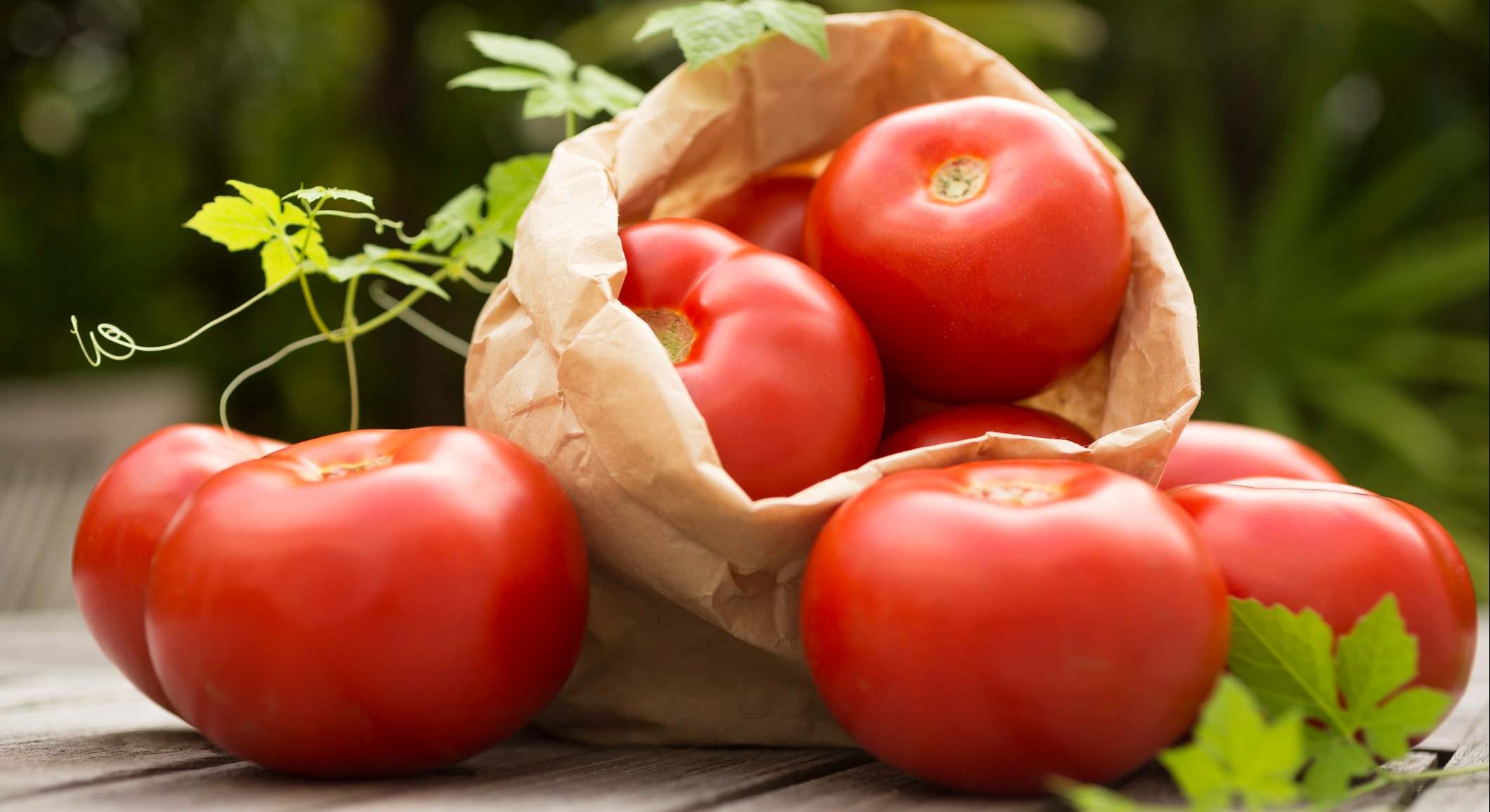 tomate