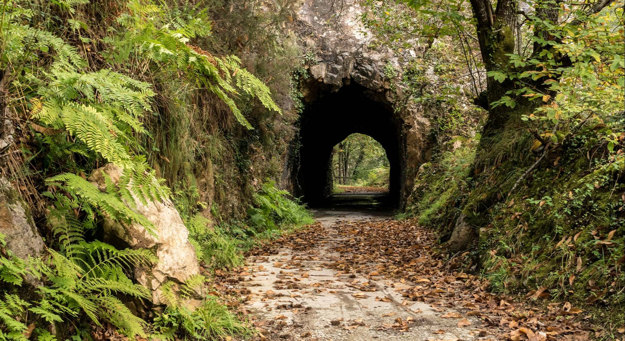 Senda del Oso, Asturias
