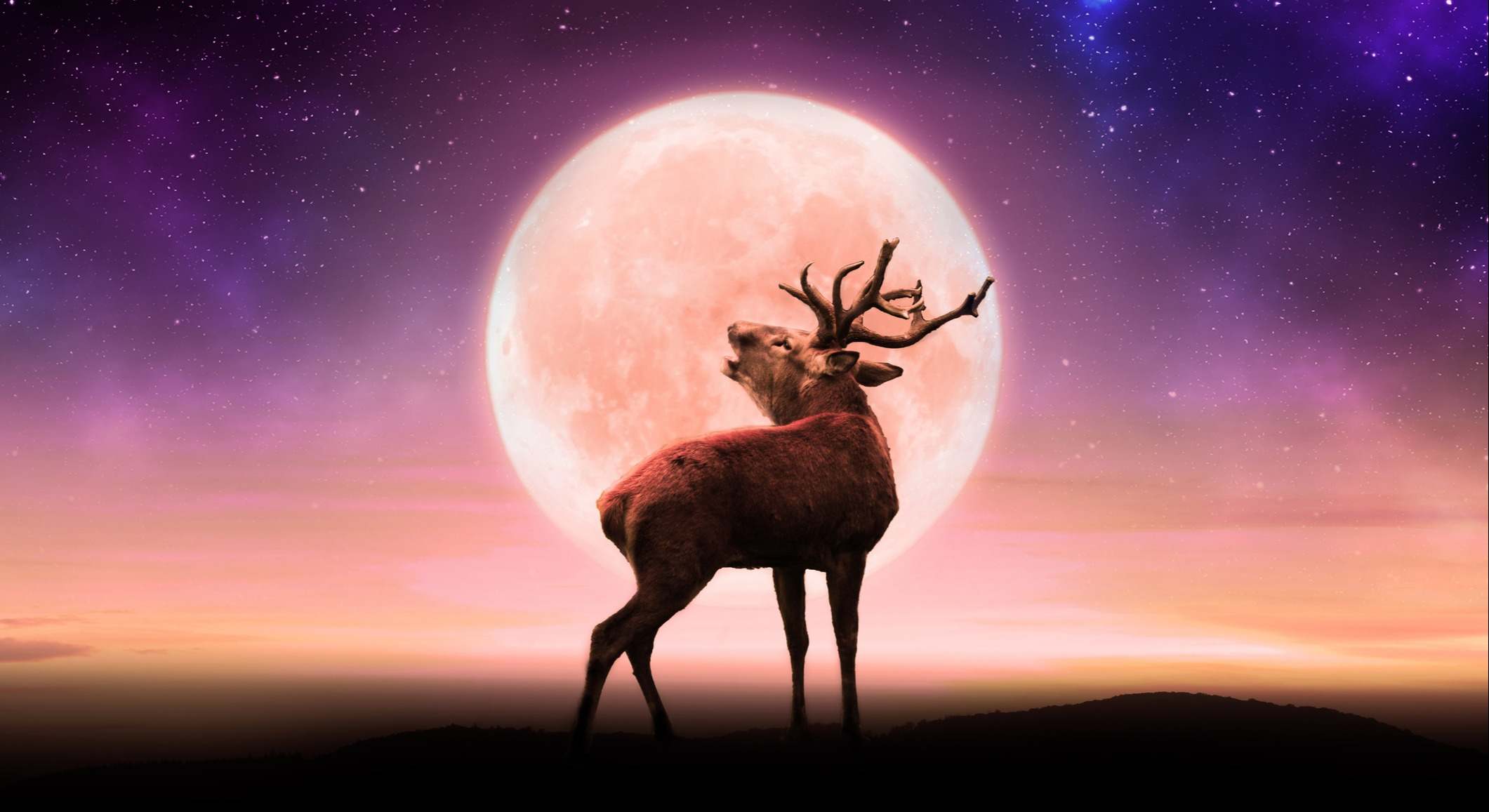 Luna de ciervo