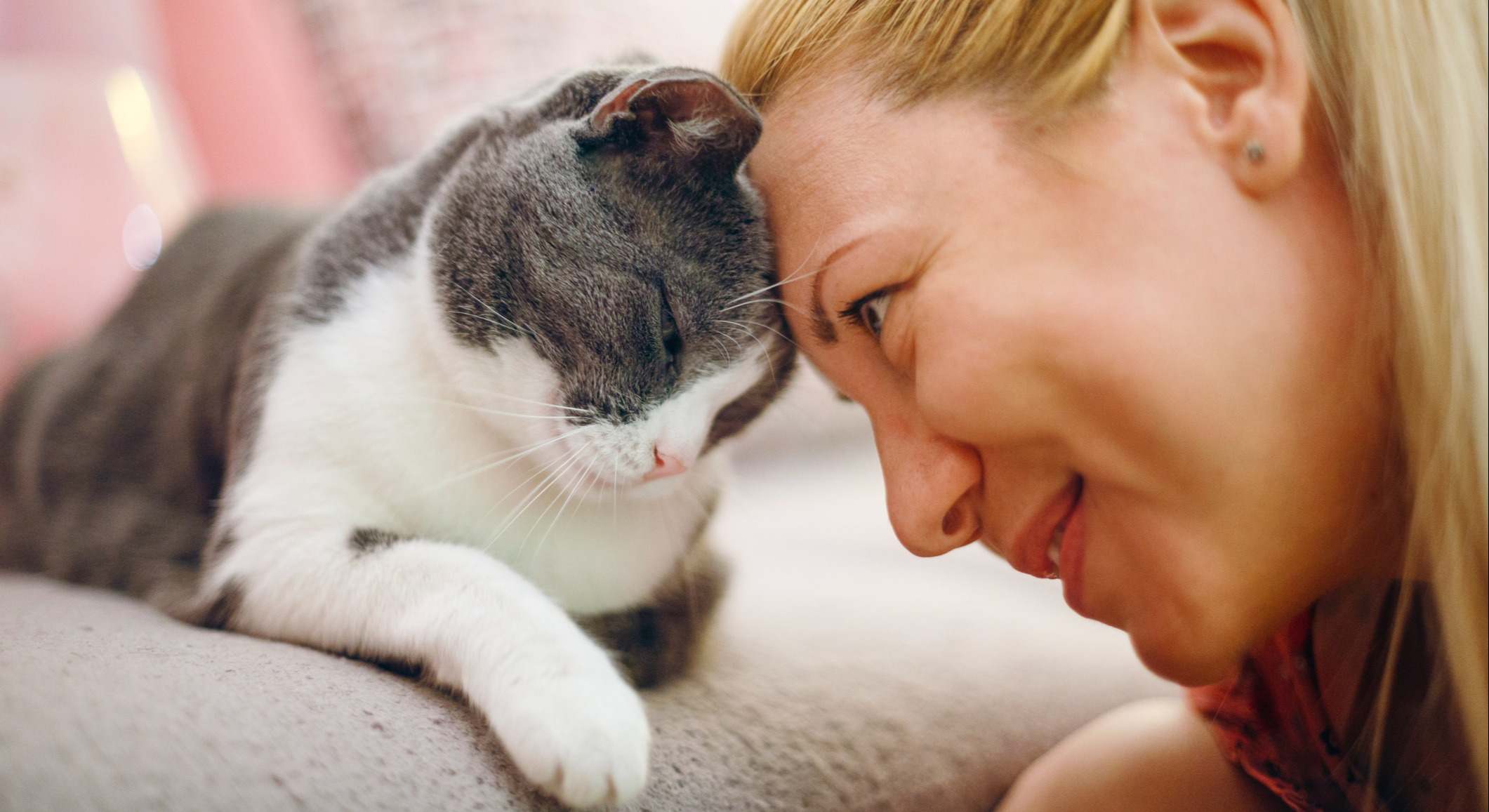 Un gato muestra su cariño hacia su dueña. / Foto: iStock