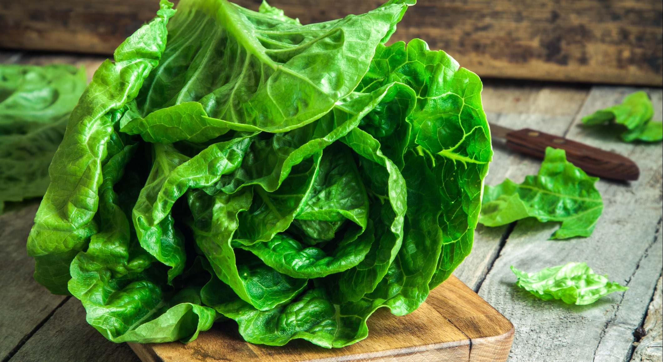 Lechuga romana sobre una tabla de madera