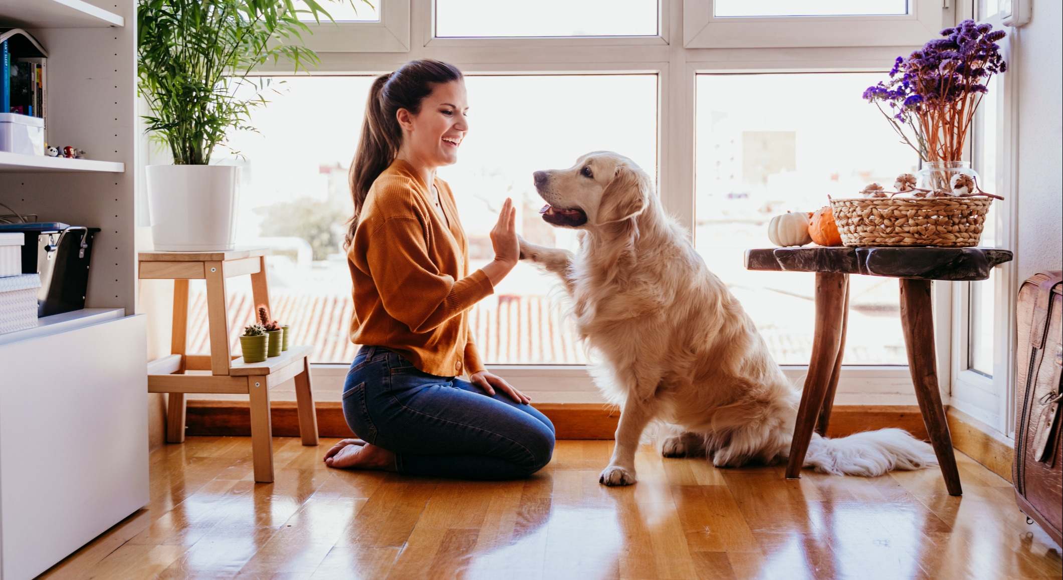 Mujer chocando los cinco a su perro golden retriever en casa