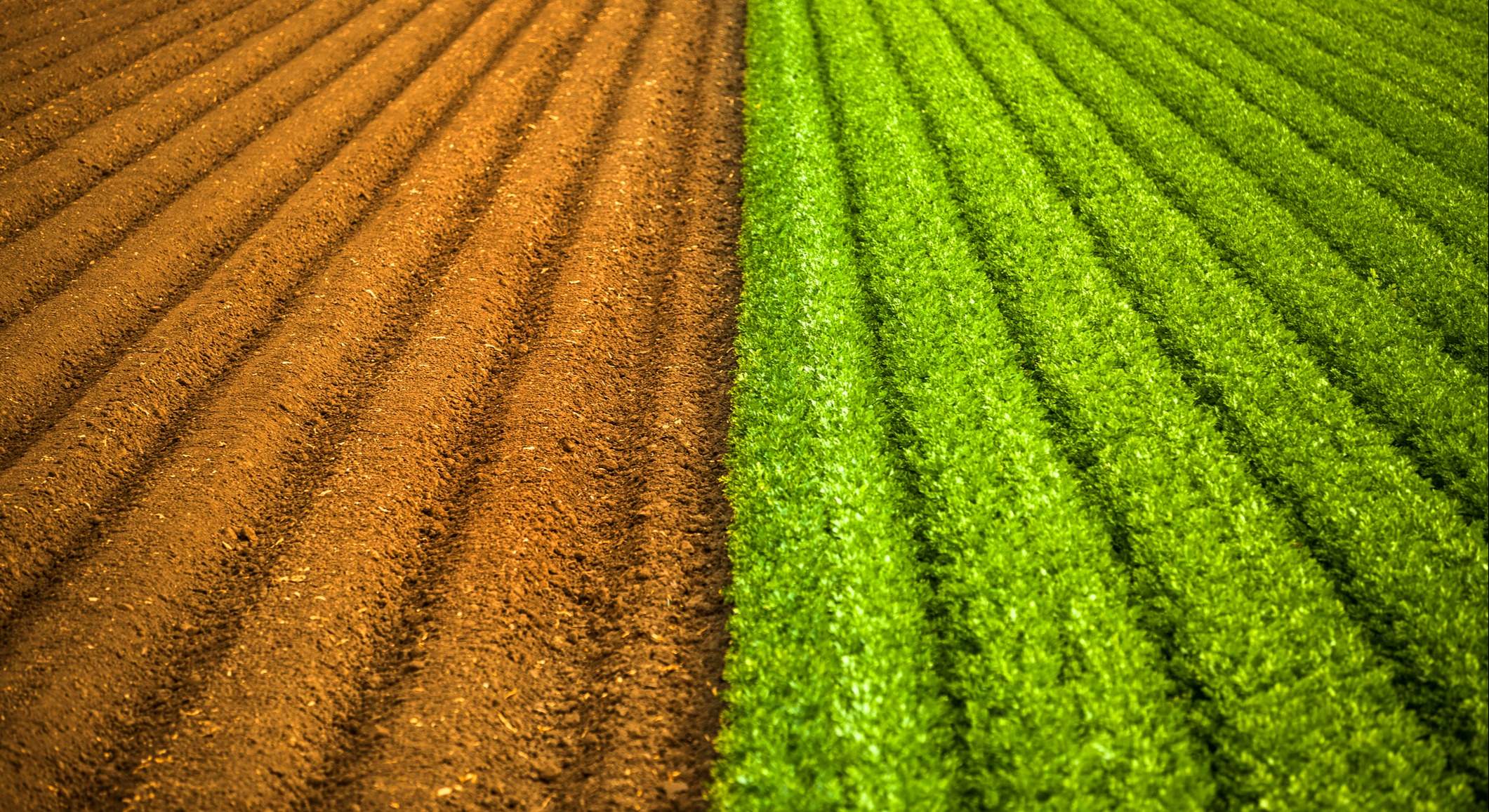 Fondos de inversión verde