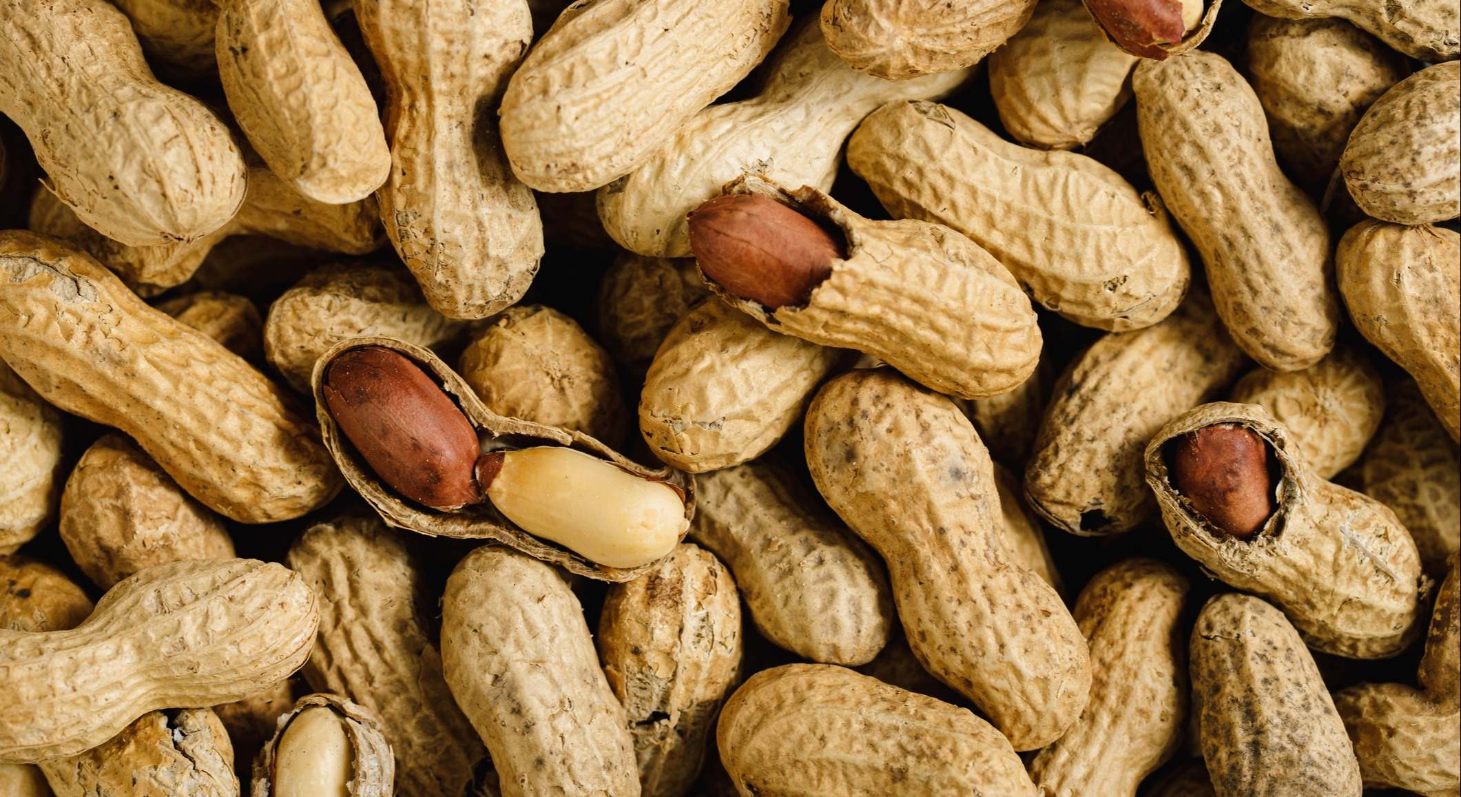 Popurrí de cacahuetes