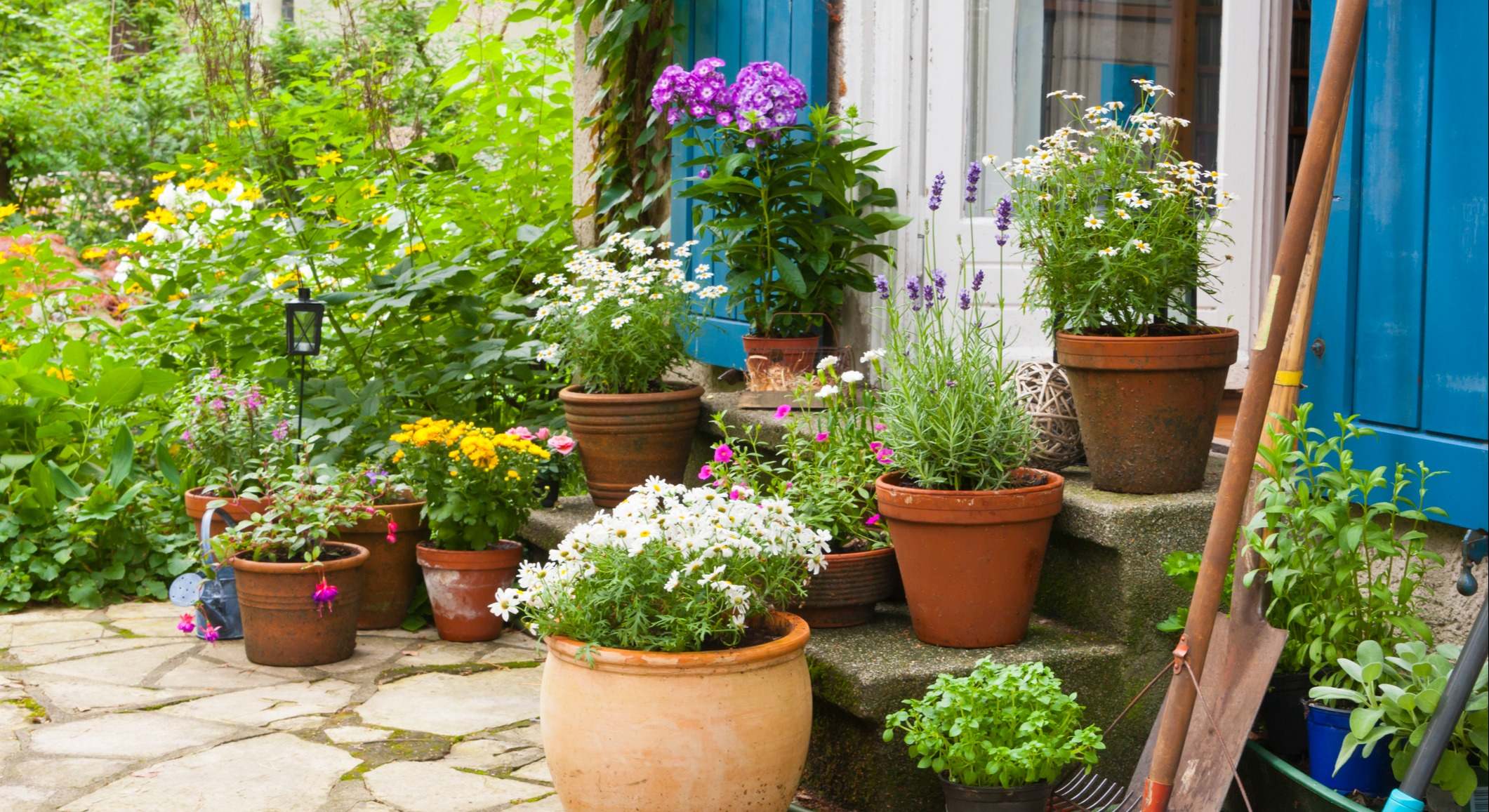 Un jardín con diferentes macetas y plantas en flor. / Foto: iStock