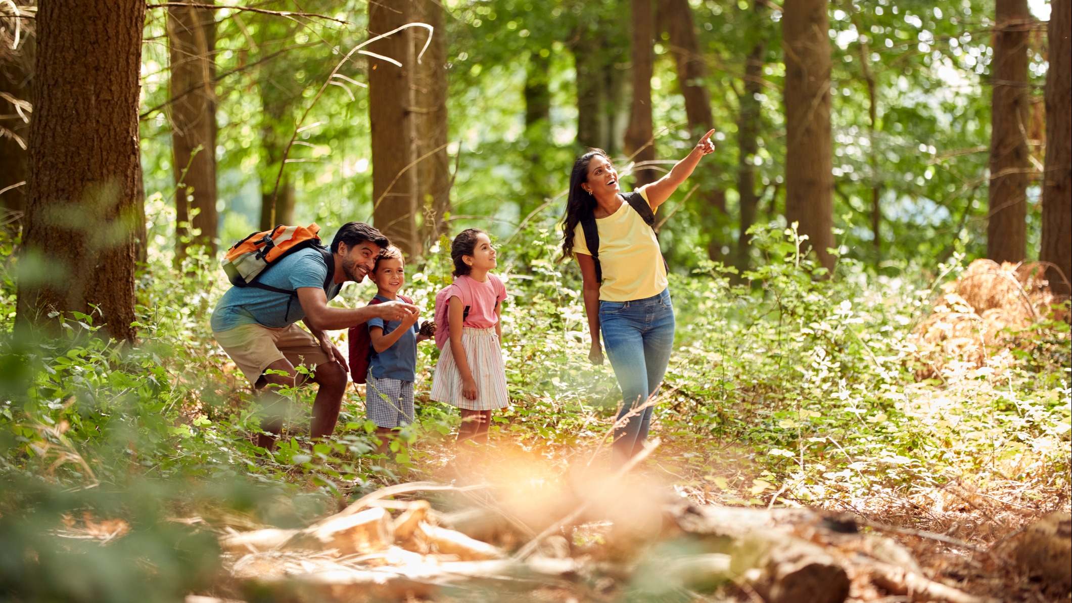 Familia de ruta de senderismo por el bosque.