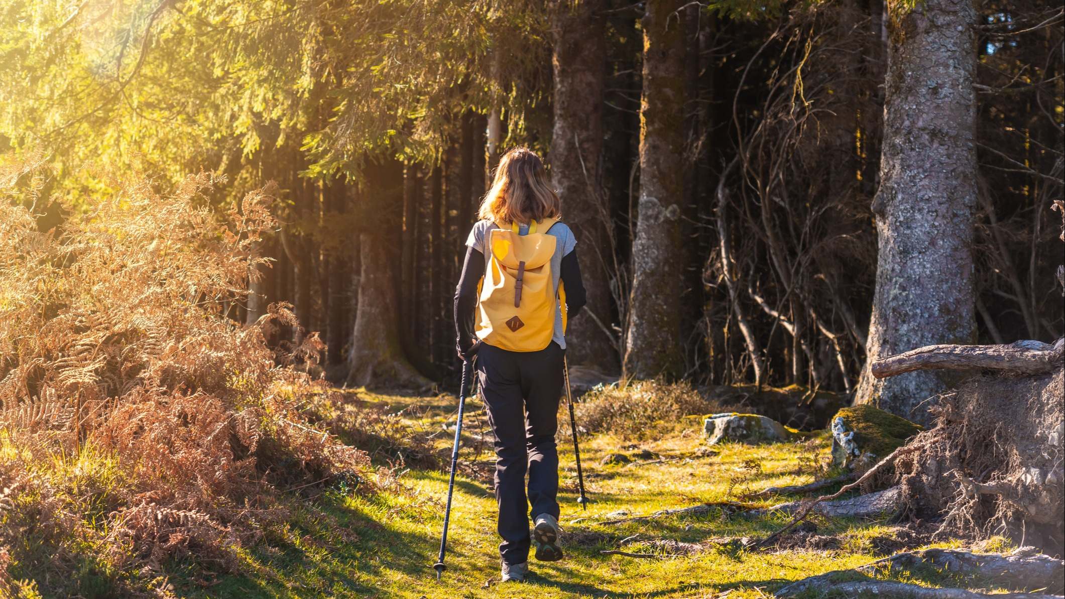 Excursionista con una mochila caminando en la naturaleza en una tarde de otoño