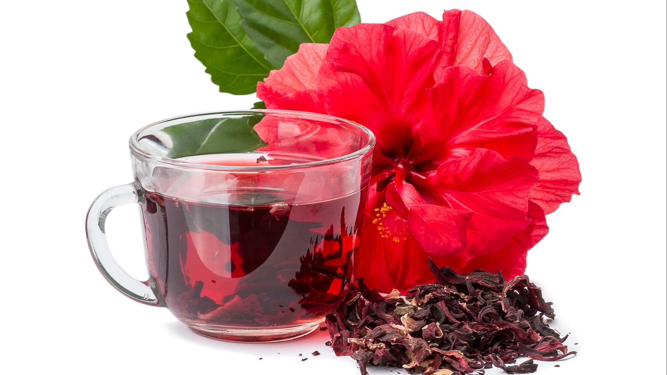Flor de hibisco rojo y té caliente