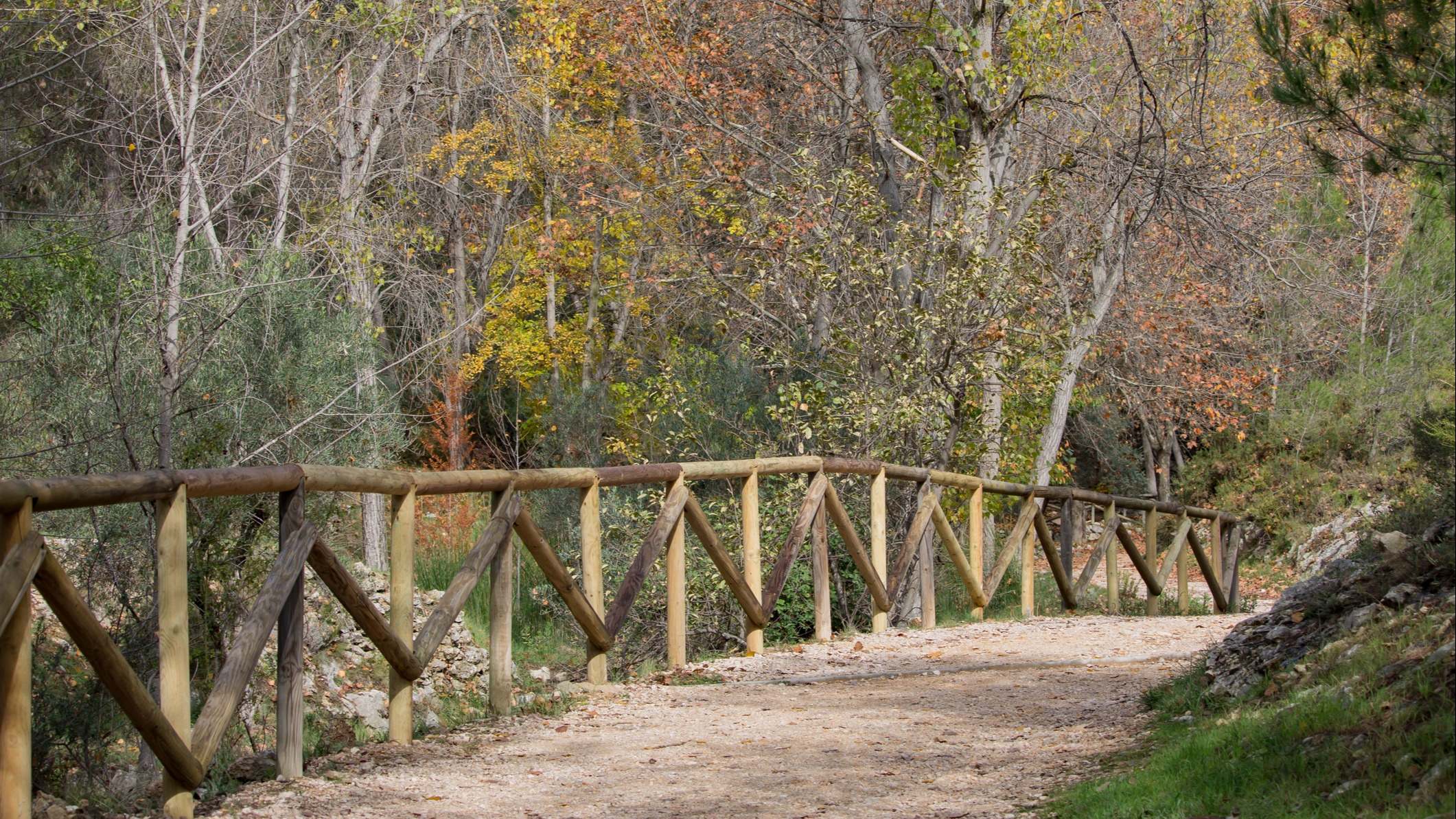 Ruta de senderismo cerca de Madrid