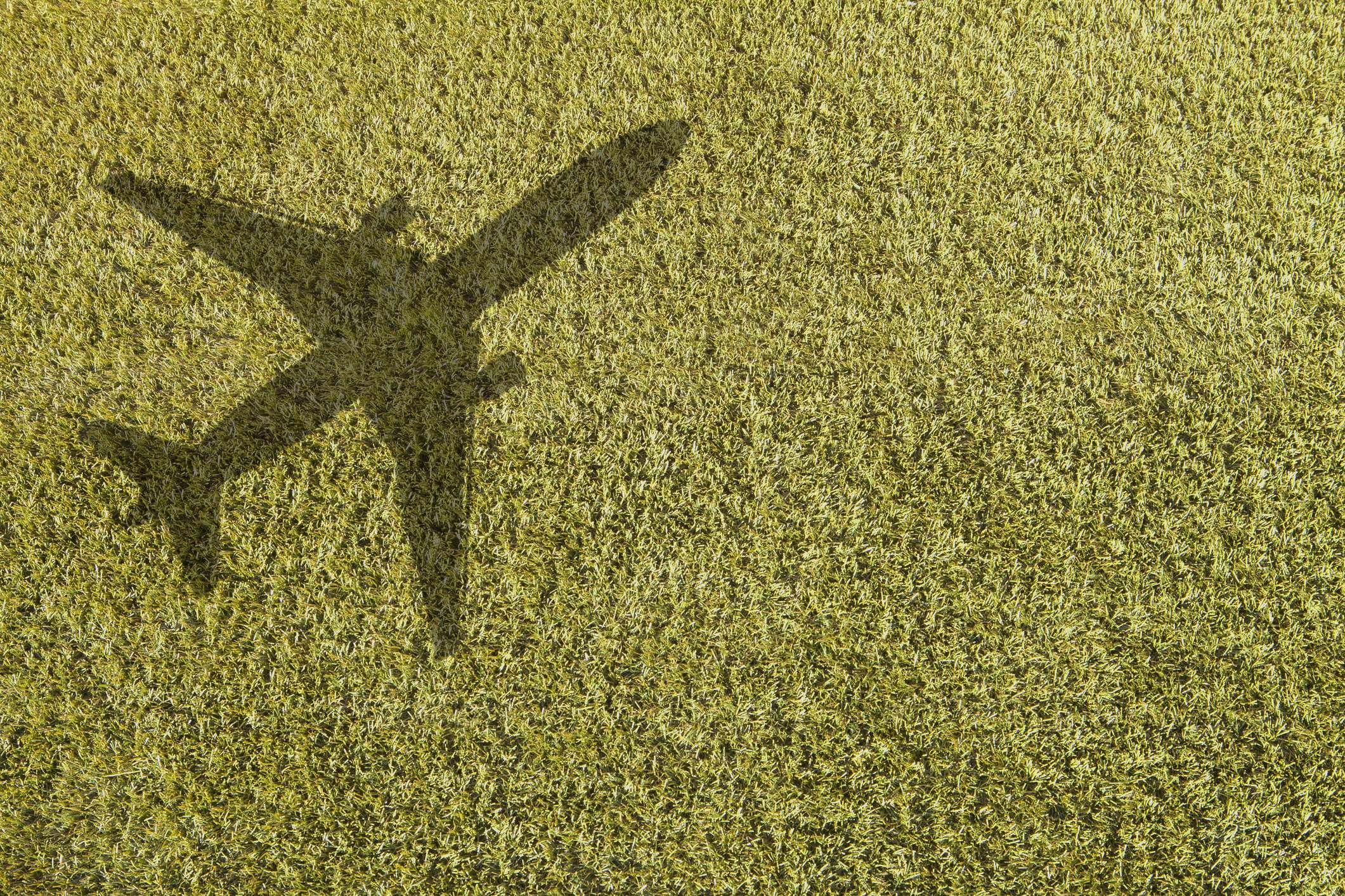 Sombra de avión en el césped