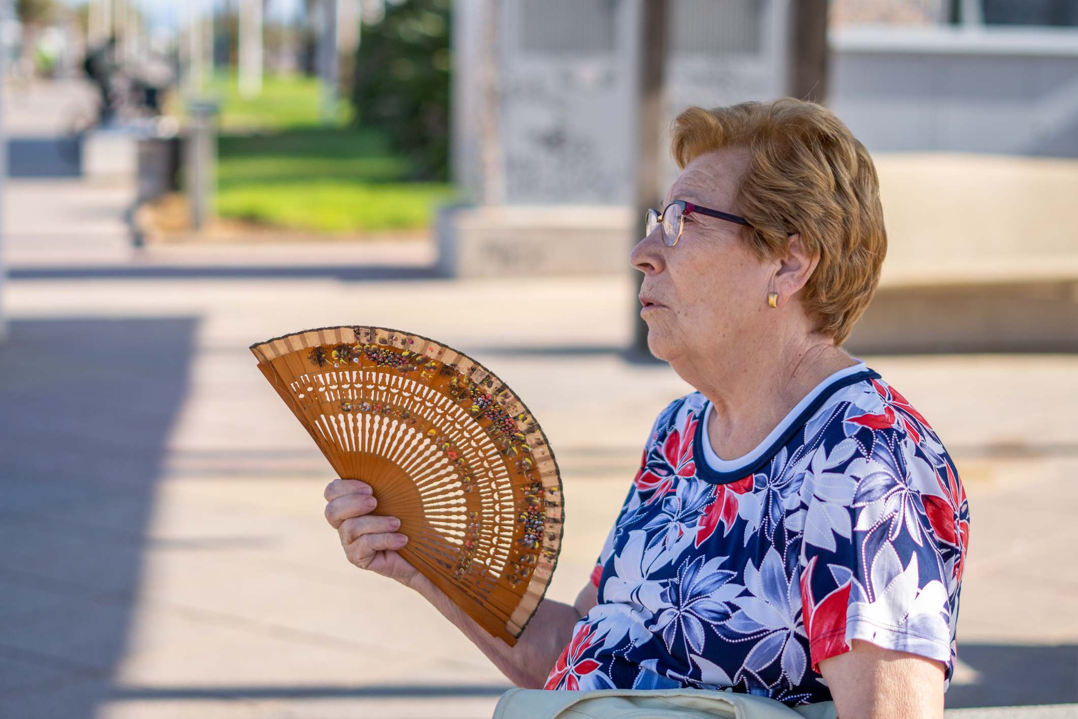 Ola de calor