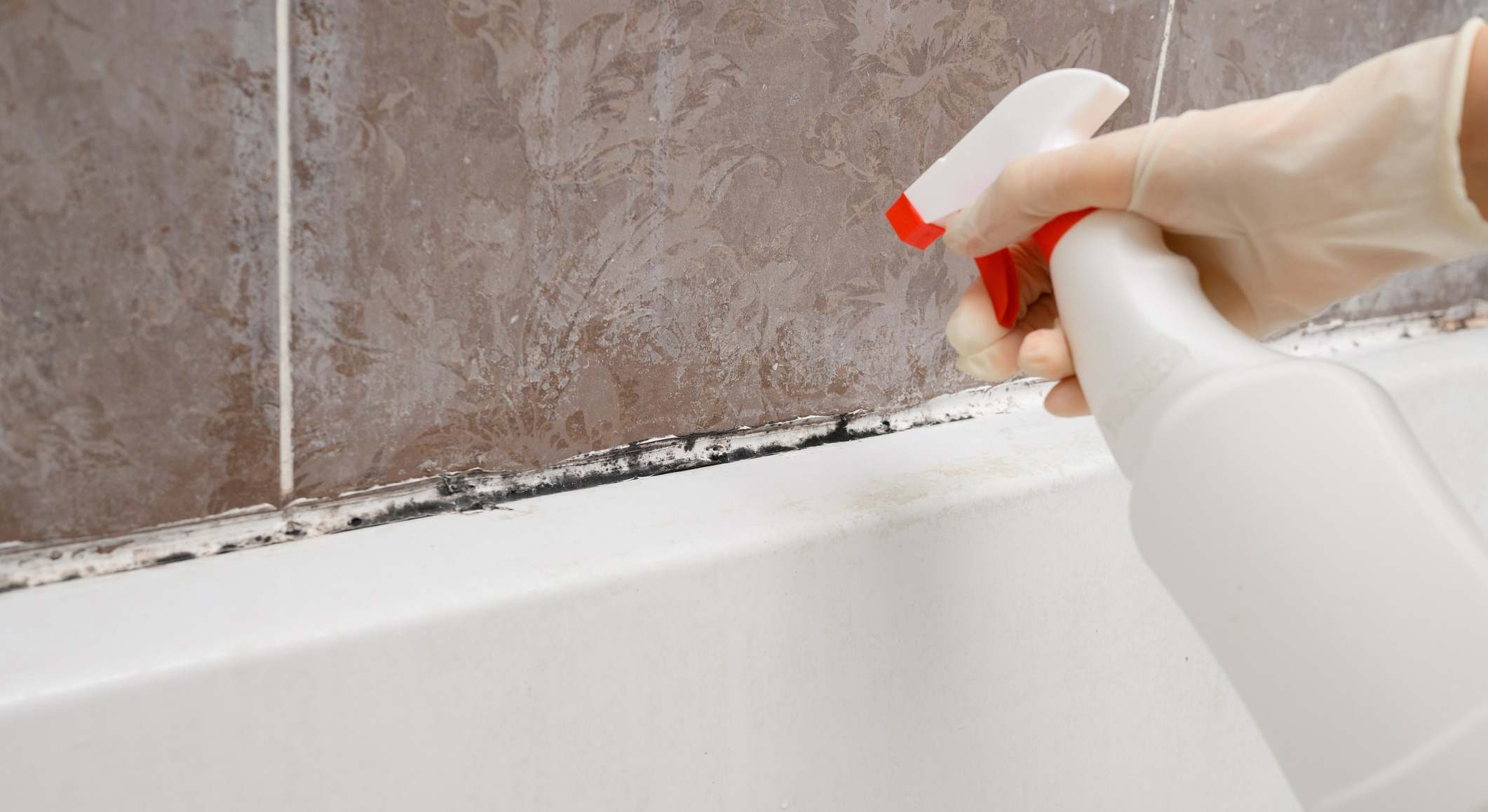 Moho en los azulejos del baño