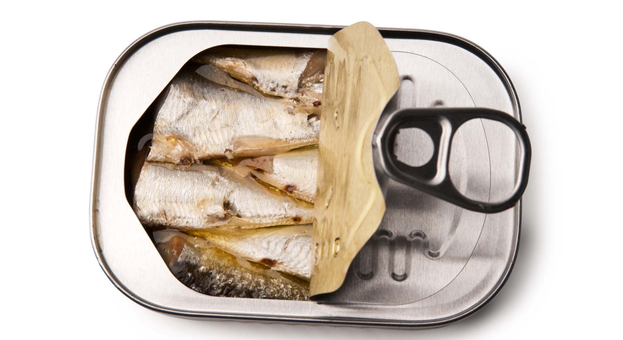 Sardinas en lata