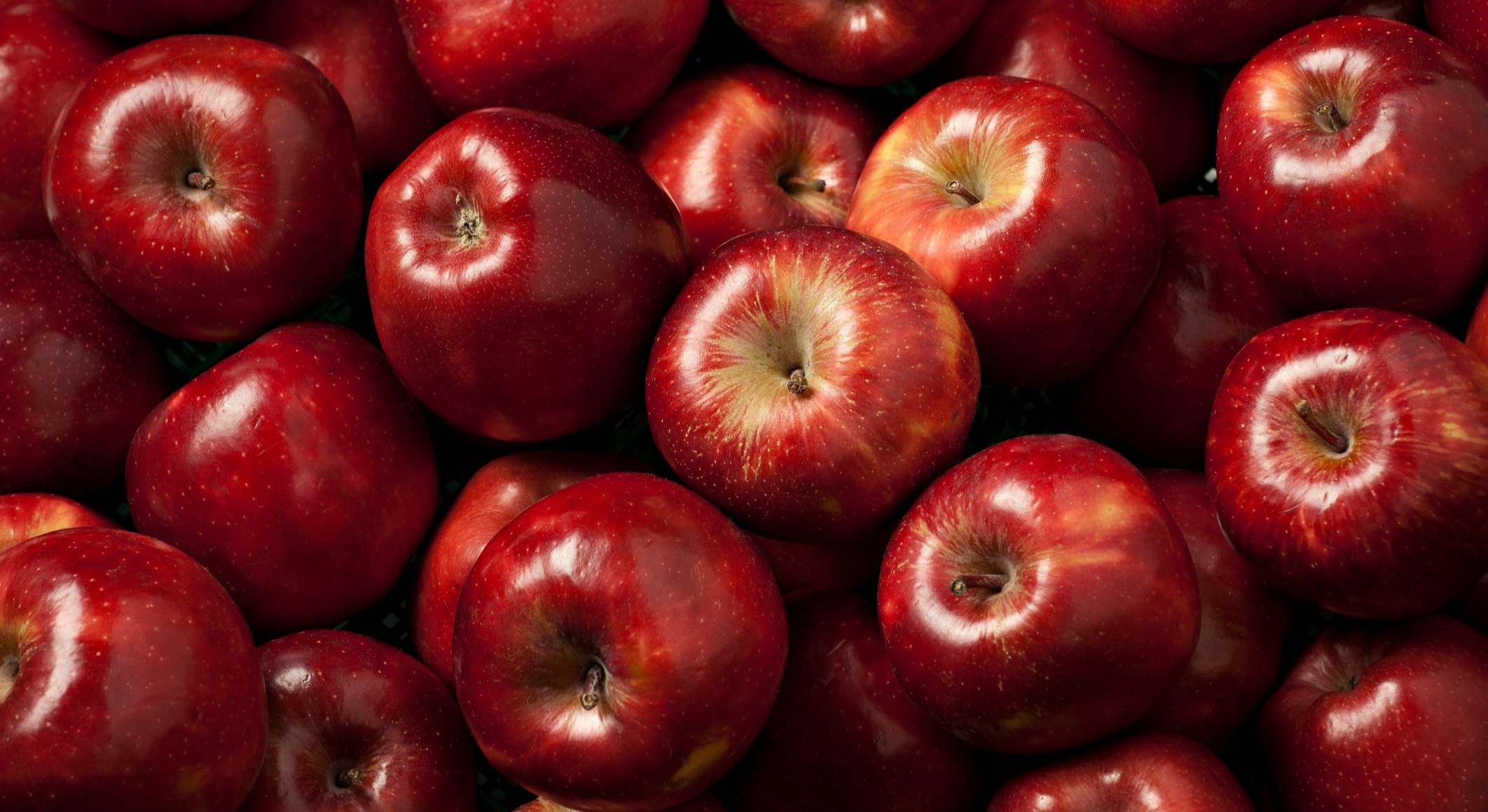 Conjunto de manzanas rojas