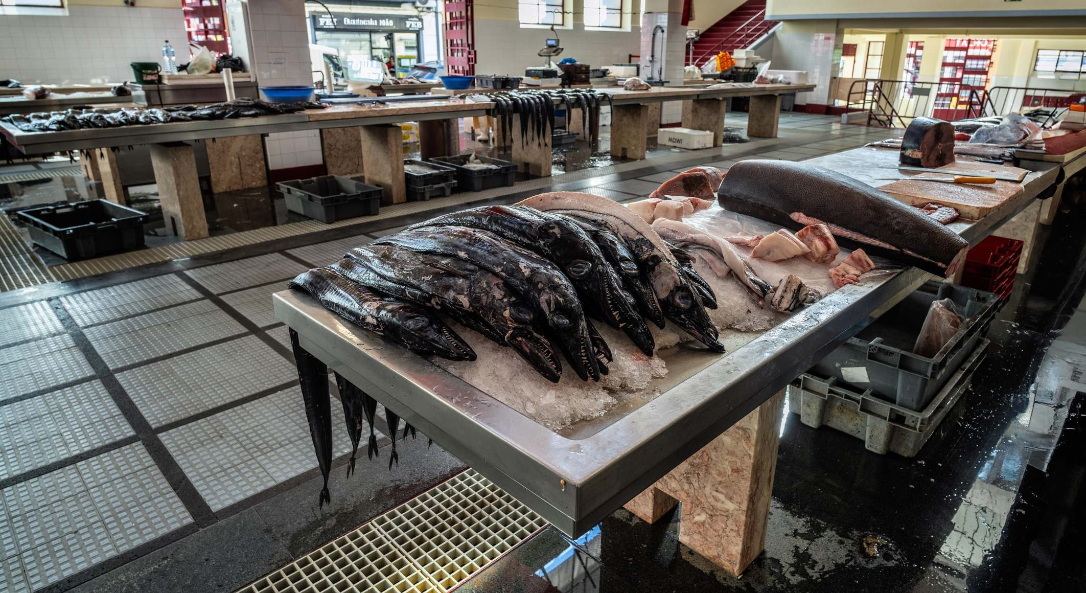 Pez espada fresco en una pescadería
