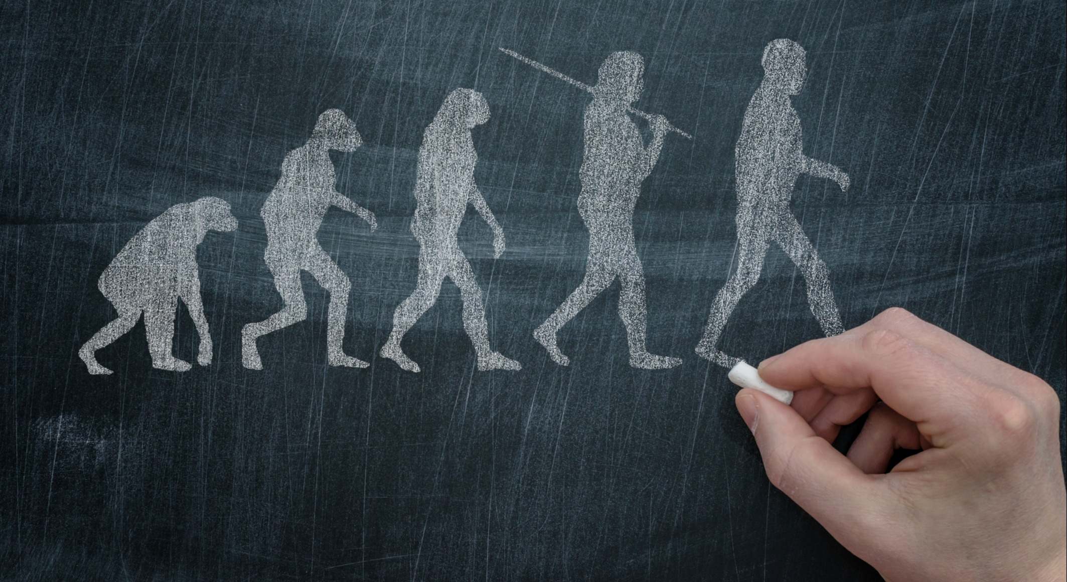 Darwin evolución