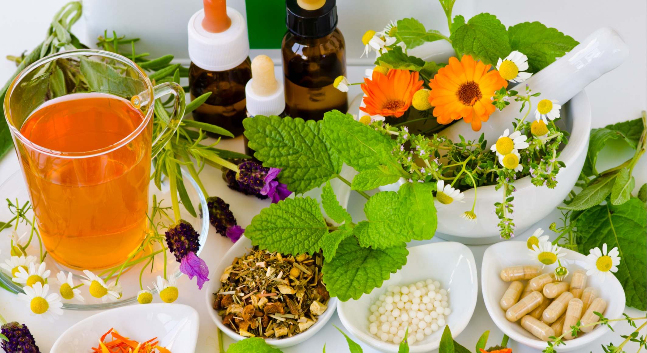 Plantas medicinales