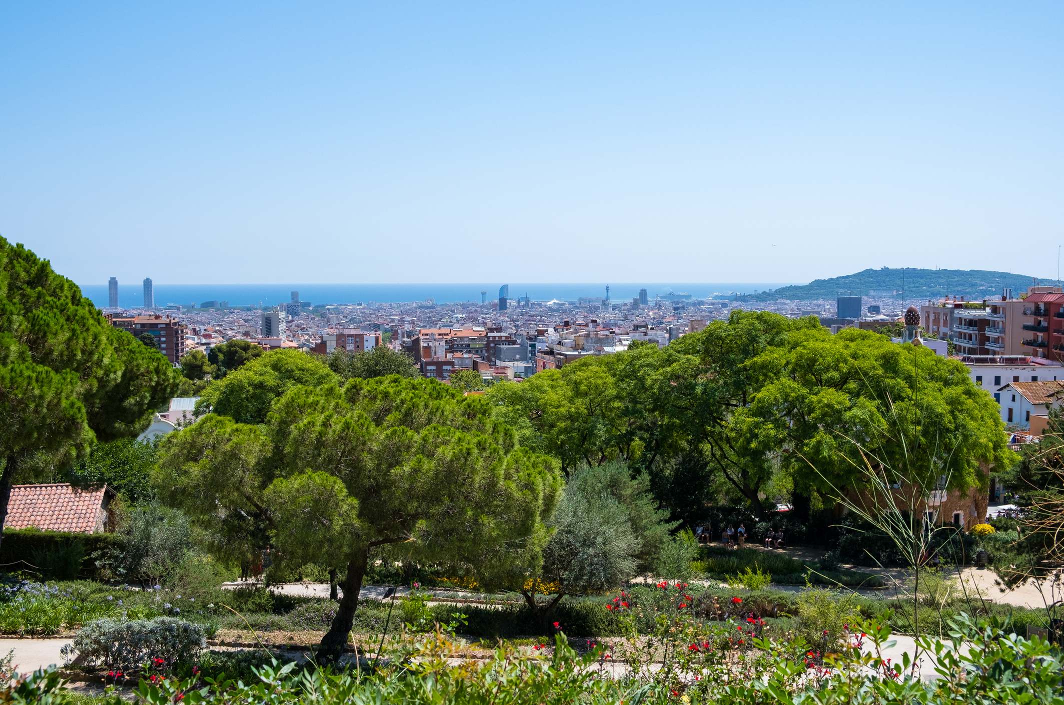 Zona verde en la ciudad de Barcelona. / Foto: iStock