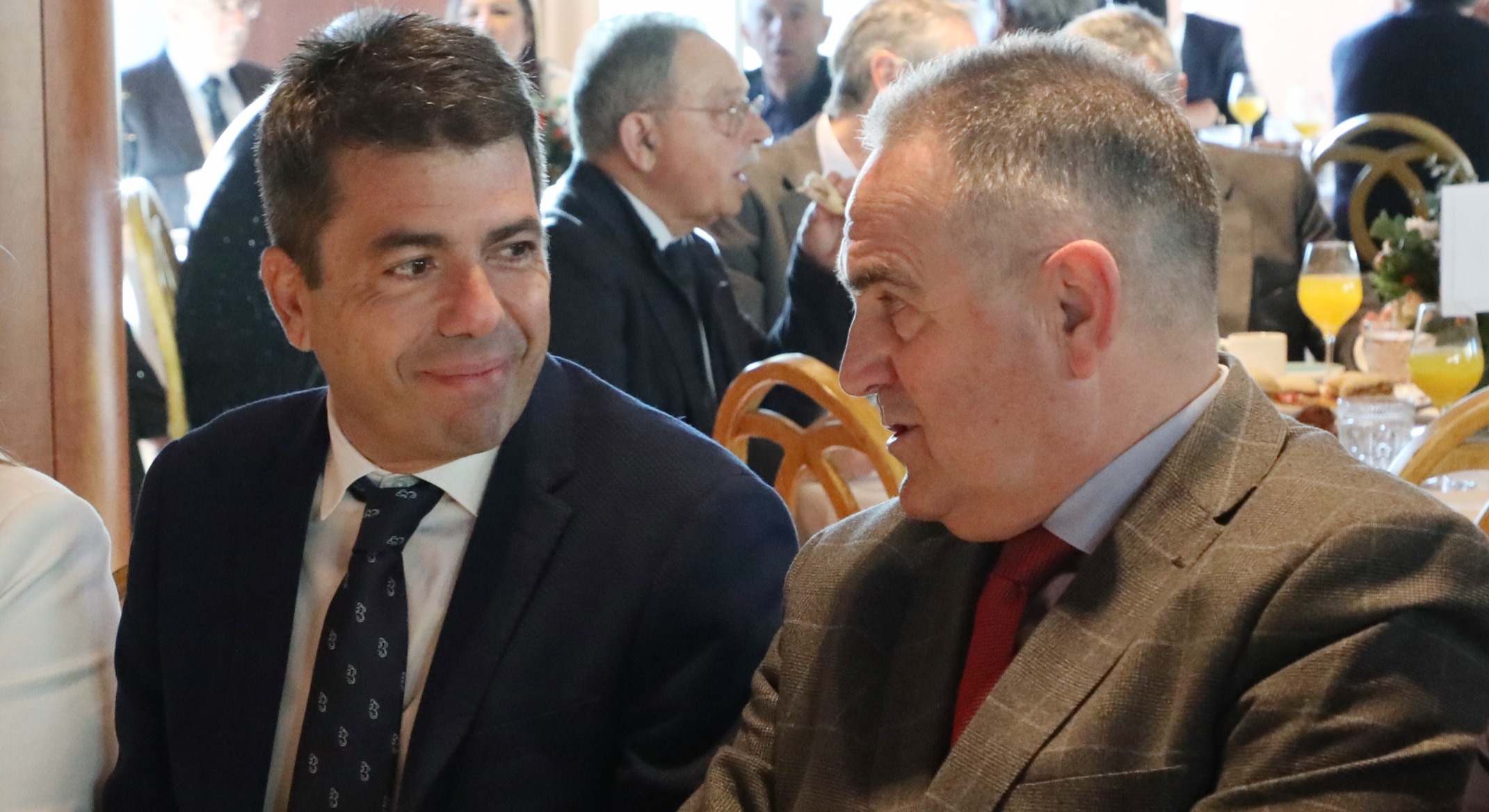 Mazón y Gan Pampols.
