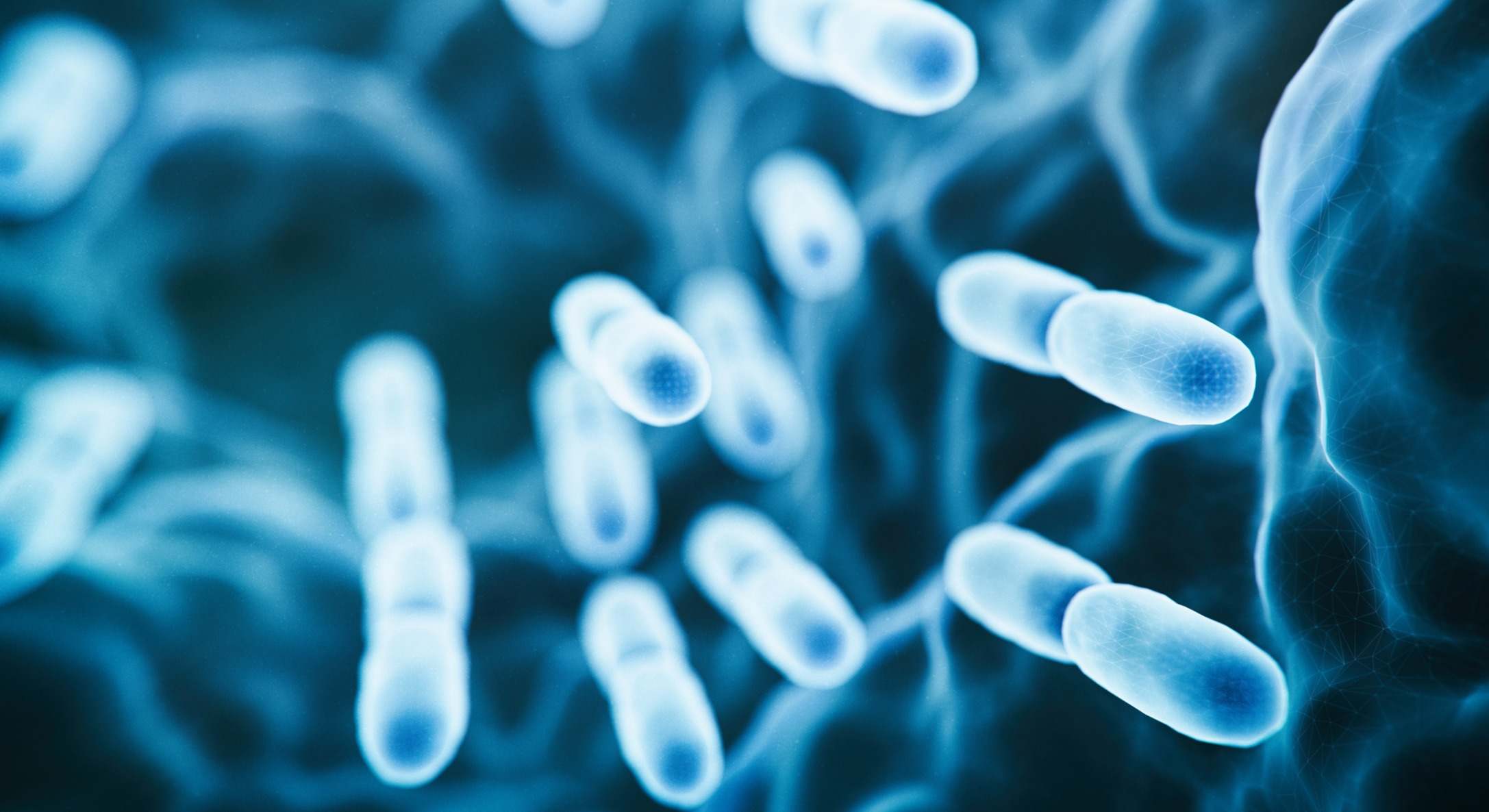 Ilustración de una bacteria