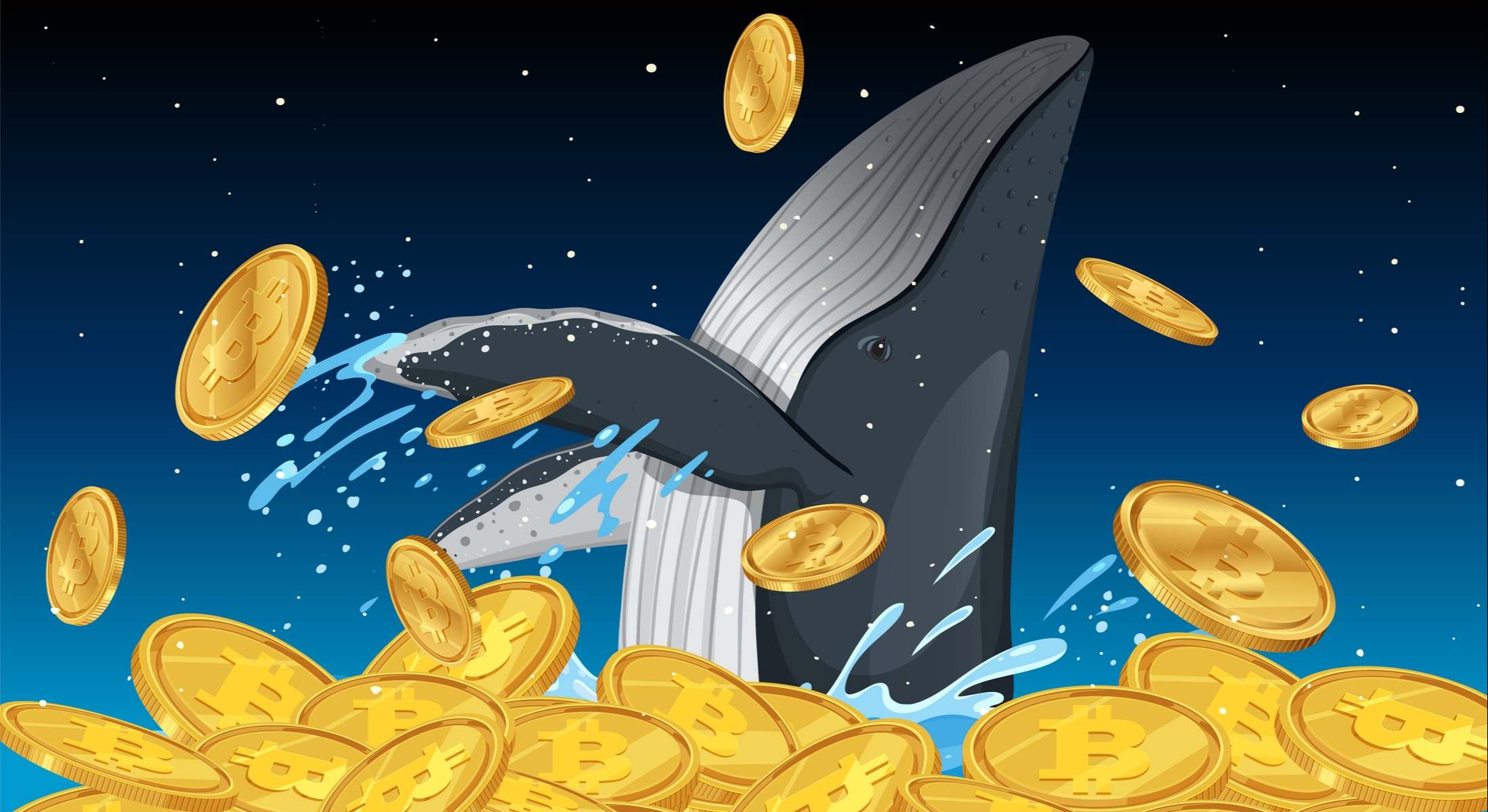 ballenas bitcoin
