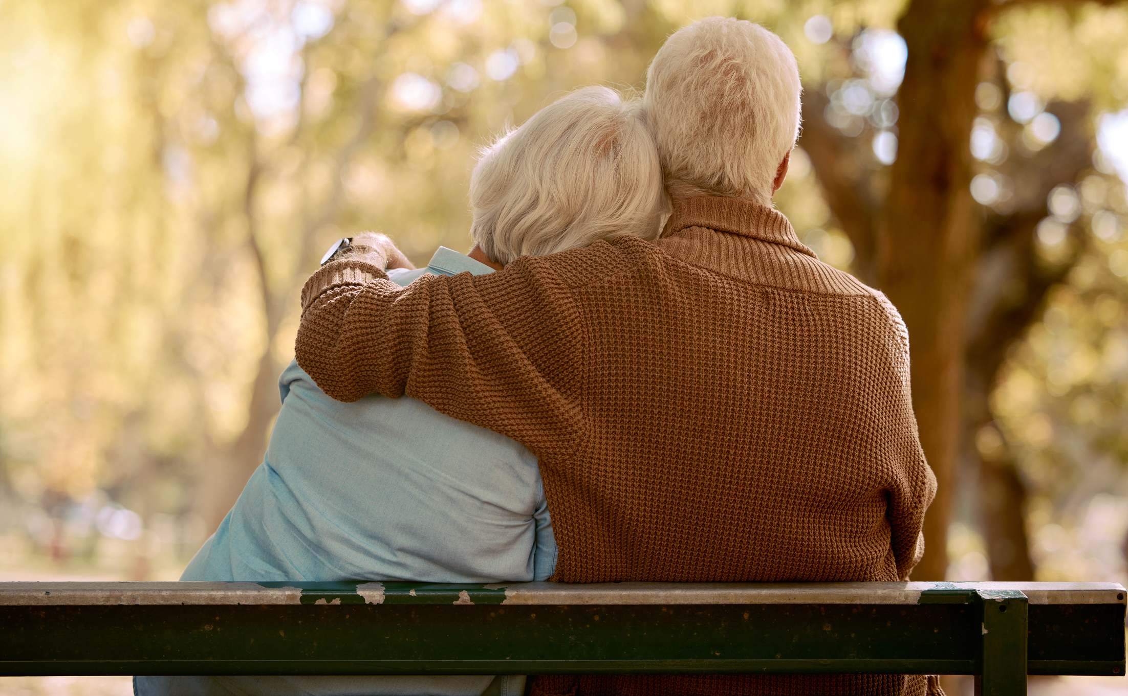 Los Planes de Pensiones de Empleo como Pilar del Ahorro