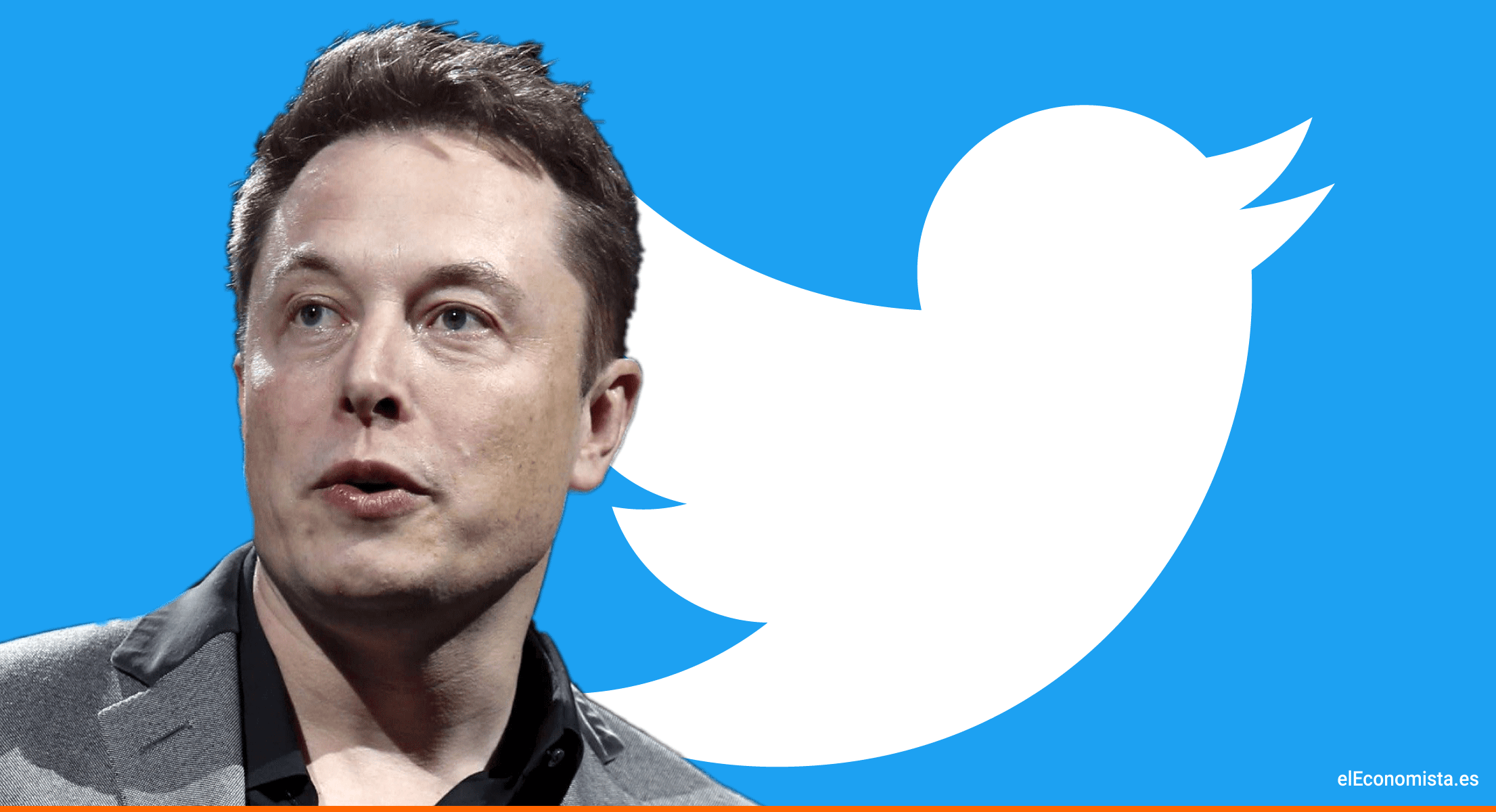 elon-musk-twitter.gif