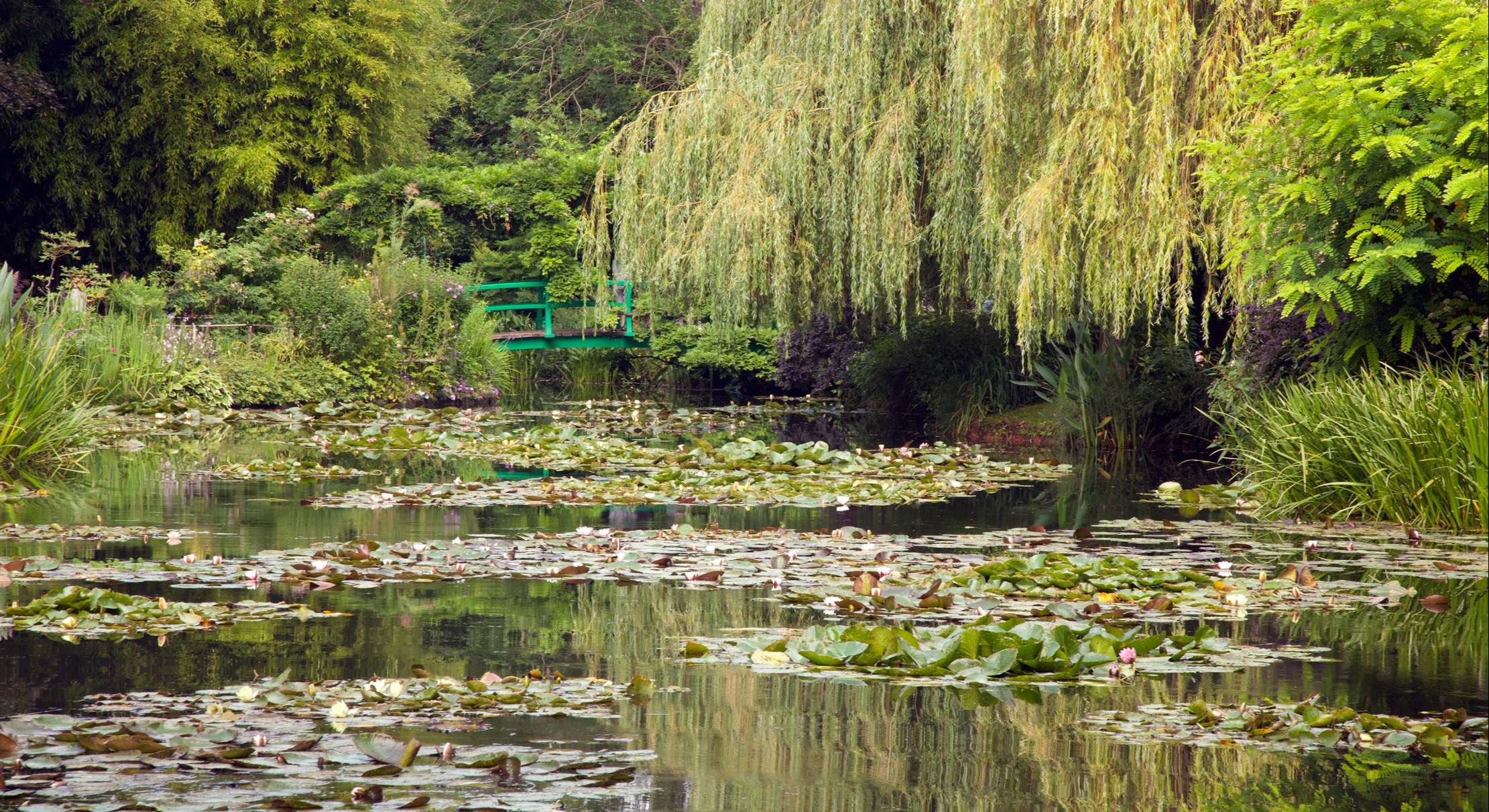 jardín de Monet