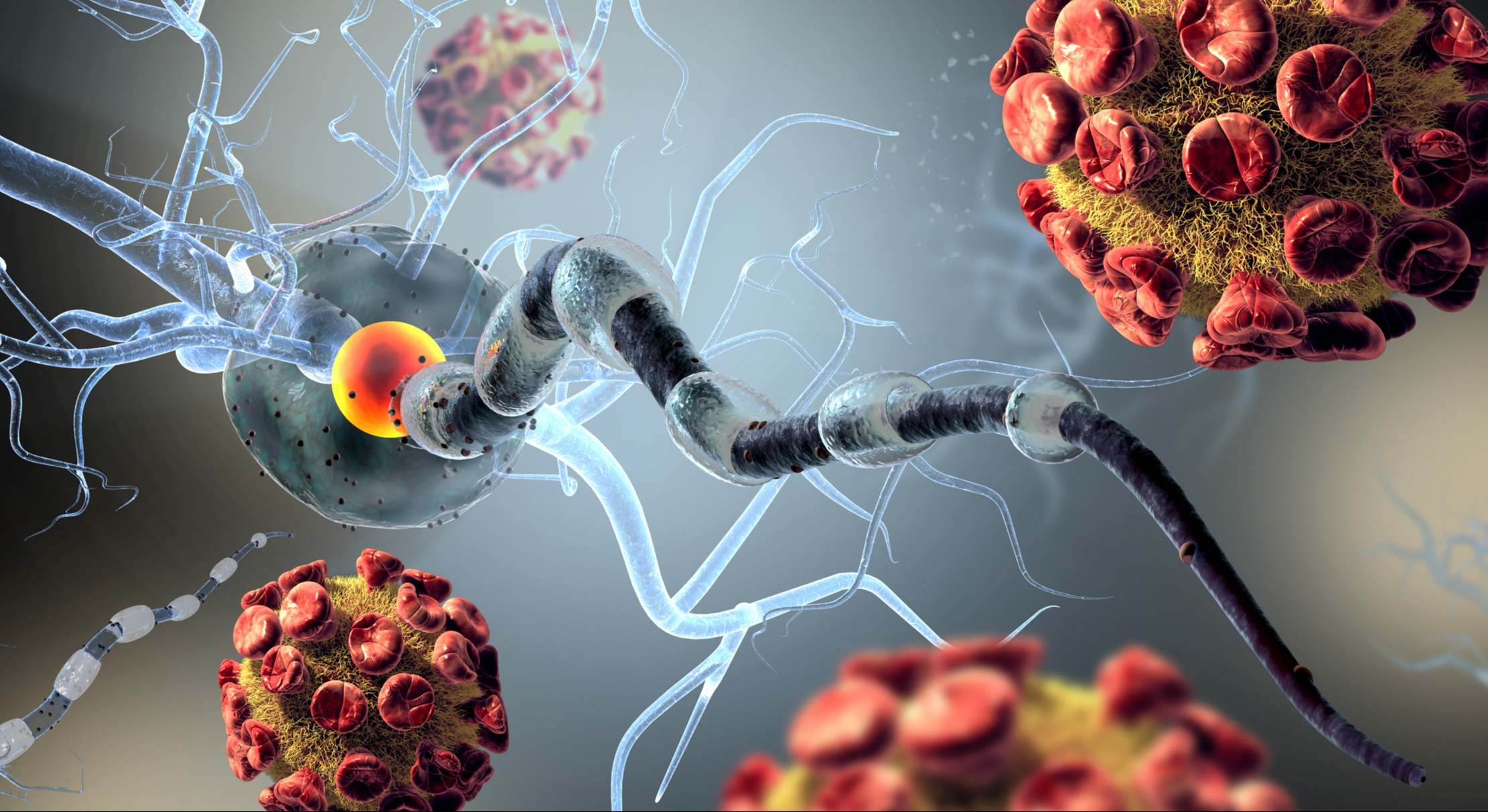 3d de alta calidad rinden de los virus que atacan las células nerviosas, el concepto para las enfermedades neurológicas, tumores y la neurocirugía