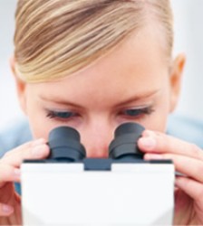 microscopio.jpg