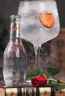 schweppssantjordidos.jpg