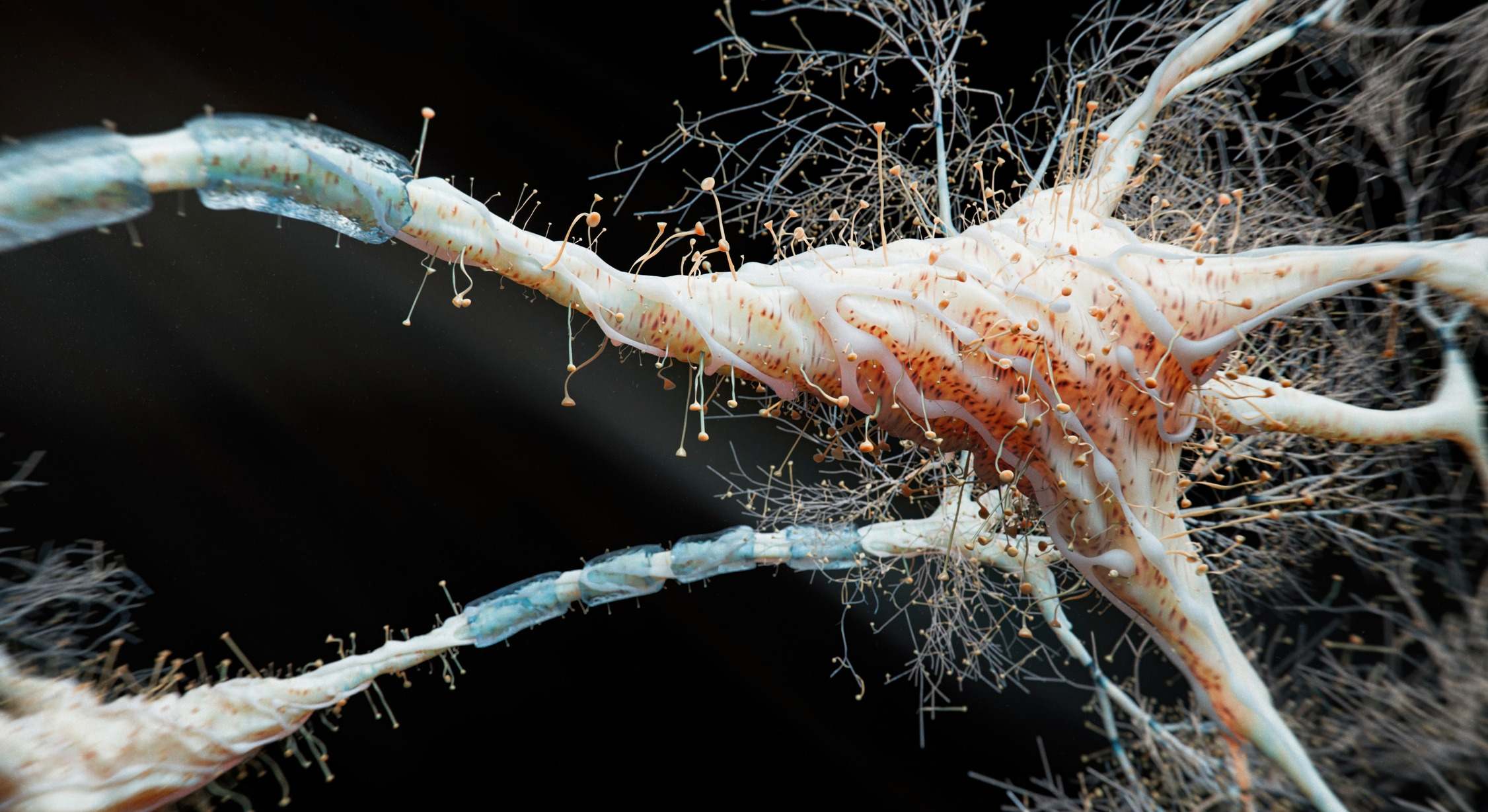 Neurona