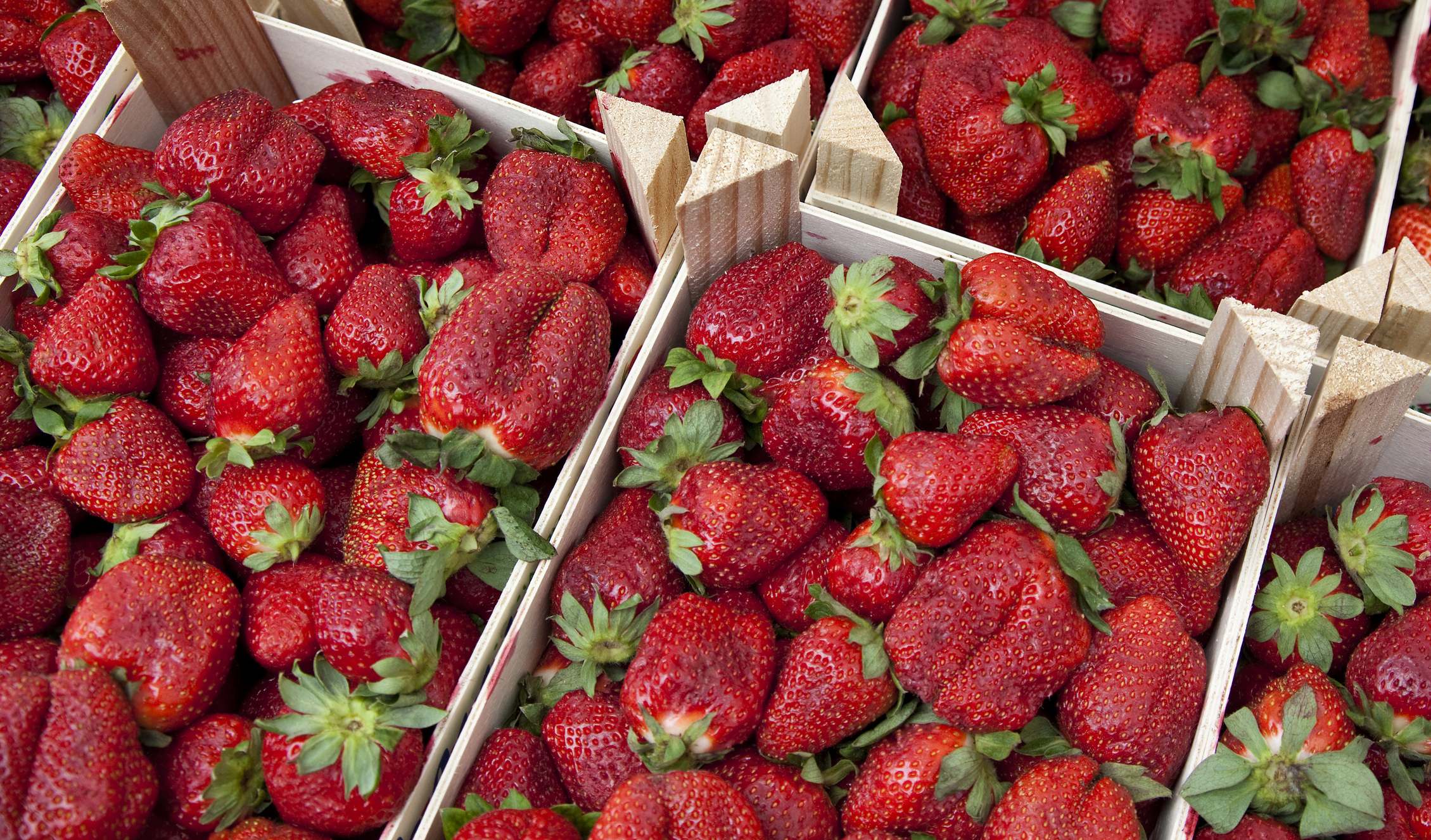 Fresas