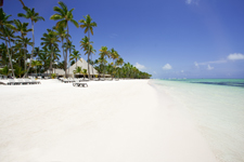 barcelo