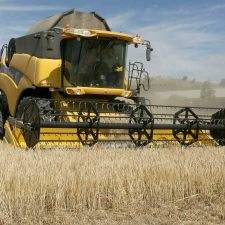 agricultura.jpg