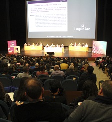 LagunAroEPSVAsam2015Tu225.jpg