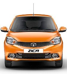 tata_zica.jpg