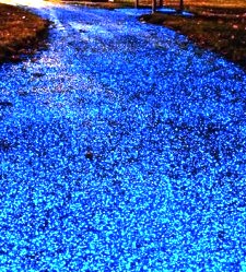 carretera-starpath.jpg