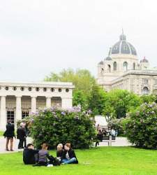 estudiantes-viena-jardin.jpg