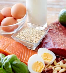 alimentacion