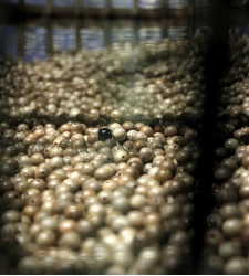 bolas-loteria-efe.jpg